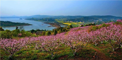 无码中文字幕在线视频 临澧县2018年农村饮水安全巩固提升管网配套改造项目
