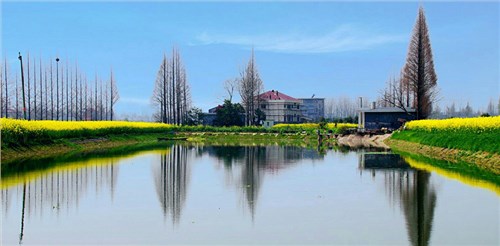 无码中文字幕在线视频 安乡同心水厂PE给水管及配件采购项目